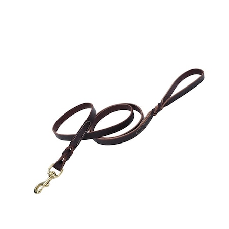 Coastal Pet Circle T Latigo Leather Dog Leash Flat 1 in 3806